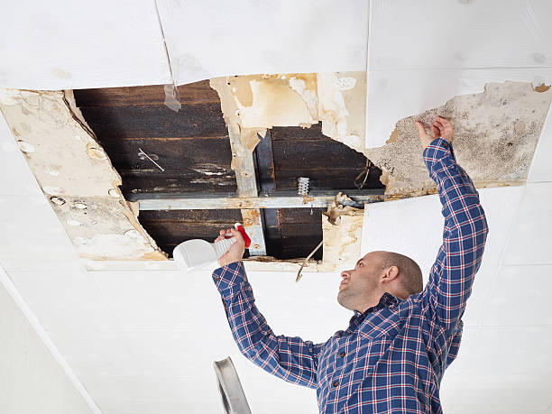 Best Residential Mold Inspection & Testing  in Sprague, WV